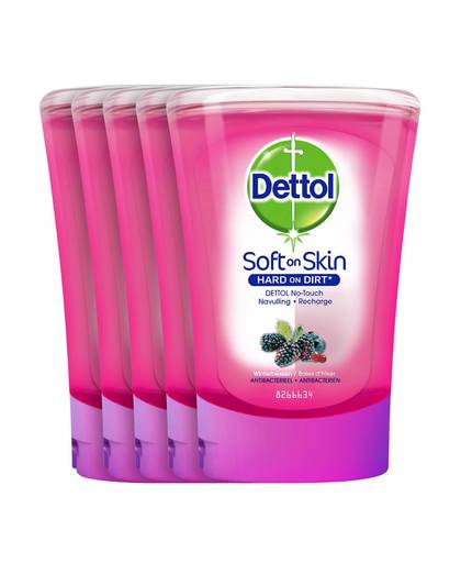 dettol No touch winterberries navulling