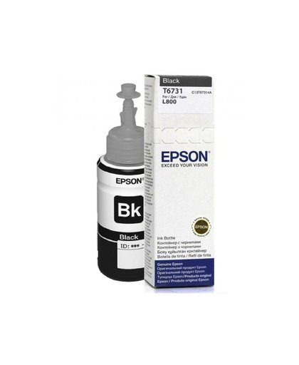 Epson T6731 inktcartridge Zwart