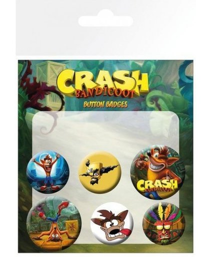 Crash Bandicoot Pin Badge Pack