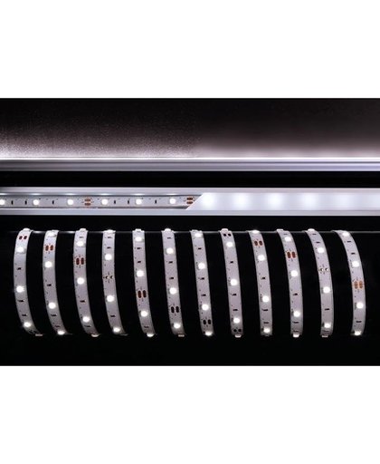 KapegoLED Flexible LED stripe, 5050-30-12V-6500K-6750K-5m, coldwhite, constant voltage, 12V DC, 36,00 W, length: 5000 mm, EEC: A, IP20