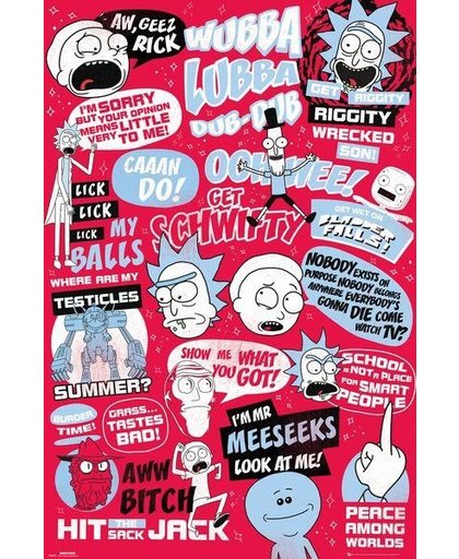 GBeye Rick and Morty Quotes Poster 61x91,5cm