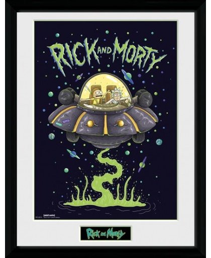 Gb Eye Poster In Lijst Rick And Morty Ship 30 X 40 Cm