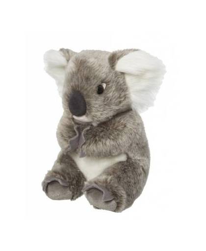 Pluche knuffel koala 22 cm