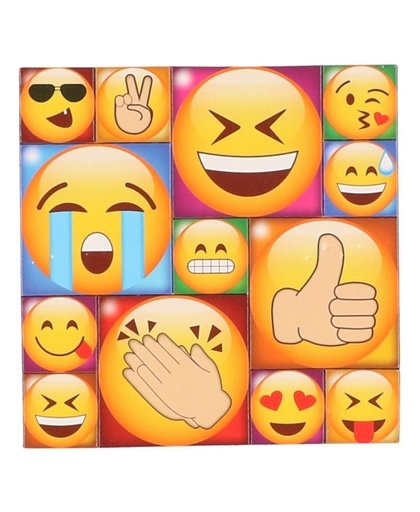13x Emoji smiley memo magneten type 1 Multi
