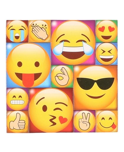 13x Emoji smiley memo magneten type 2 Multi