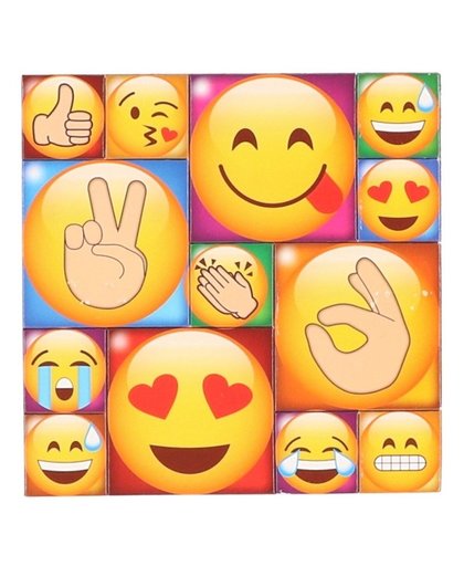 13x Emoji smiley memo magneten type 4 Multi