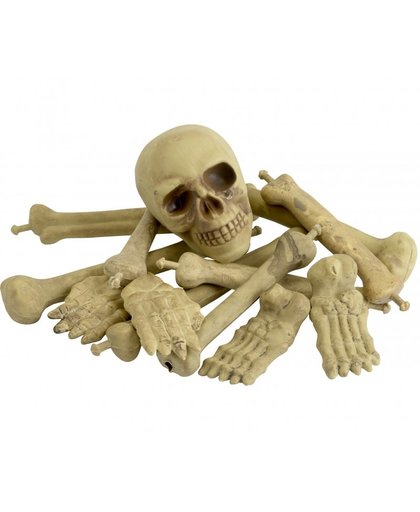 Halloween - Zak met botten Multi