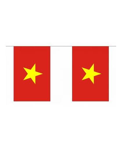 Luxe vietnam vlaggenlijn 9 m