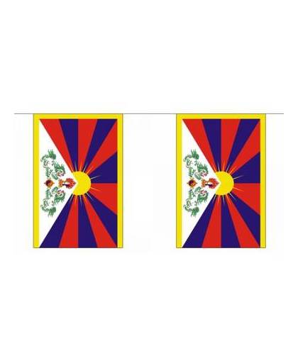 Luxe tibet vlaggenlijn 9 m