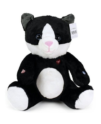 Zwarte pluche kat/poes knuffel 30 cm Zwart