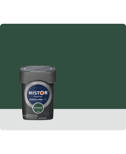 Histor Exterior zijdeglanslak groen 6561 750 ml