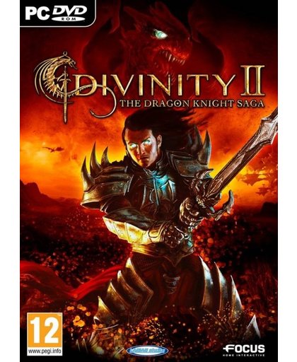 Divinity 2 The Dragon Knight Saga