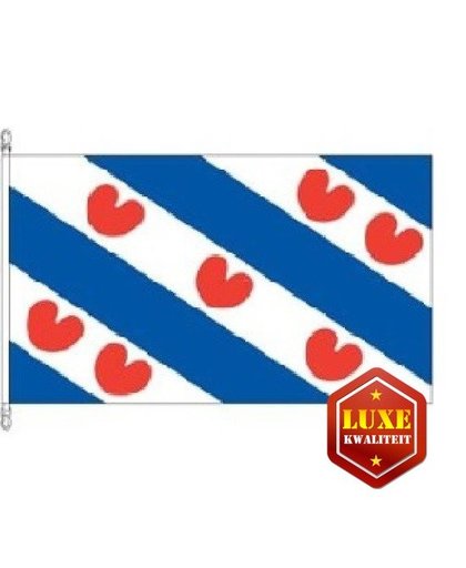 Luxe vlag Friesland 100 x 150 cm Multi