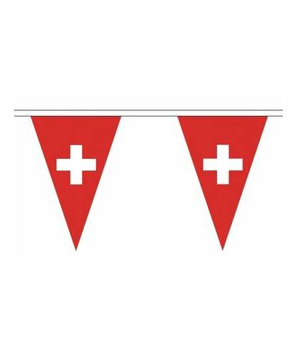 Polyester vlaggenlijn zwitserland 5 meter