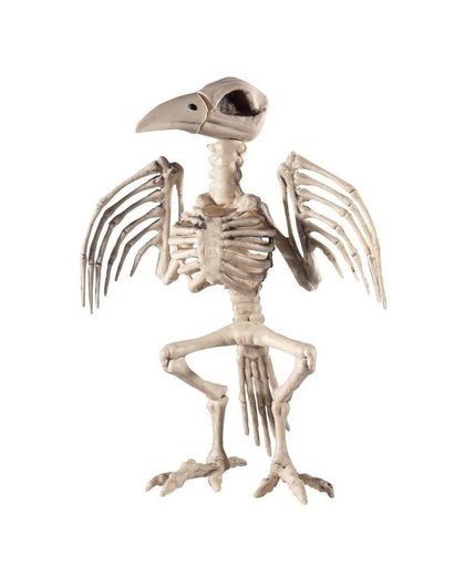 Halloween - Raaf skelet halloween/horror decoratie 30 cm Wit