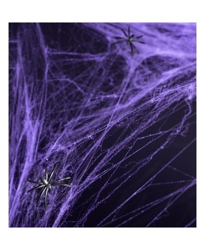 Halloween - Paarse spinnenweb decoratie met 2 spinnen Paars