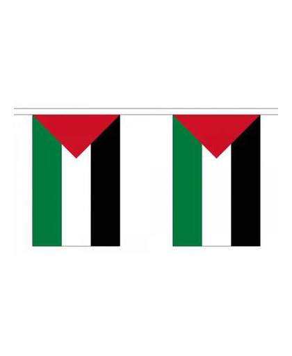 Palestina vlaggenlijn 9 m
