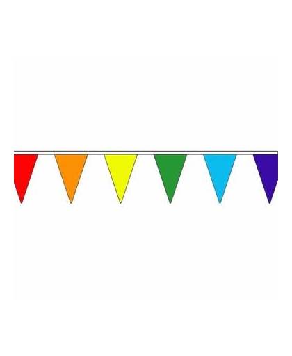 Polyester vlaggenlijn regenboog 20 meter