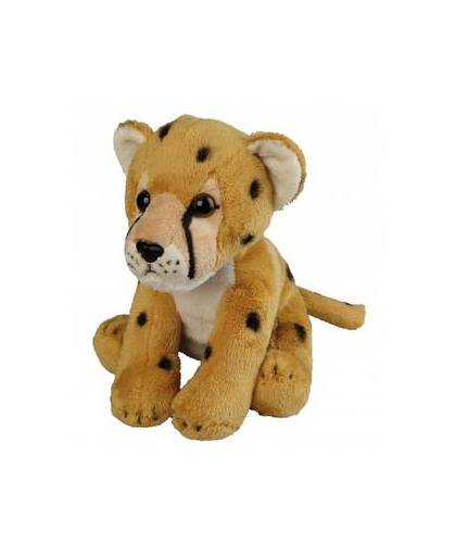 Cheetah knuffeltje 19 cm
