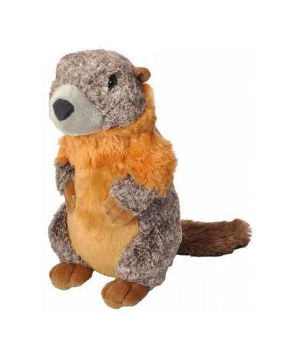 Pluche marmot knuffel 30 cm