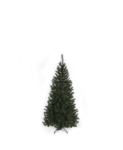 Black Box kerstboom Kingston - 120 cm