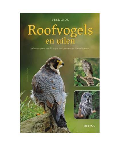 Veldgids - Roofvogels en uilen