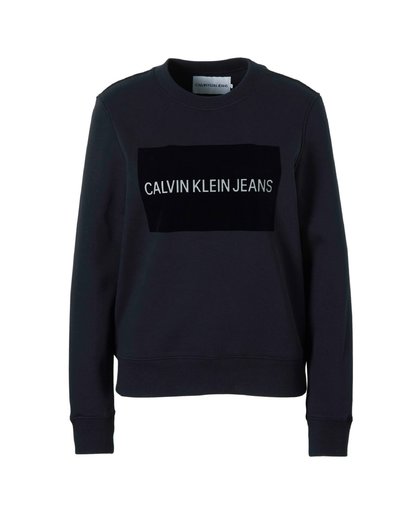 Calvin Klein Jeans Institutional Flock Box W sweater Dames zwart