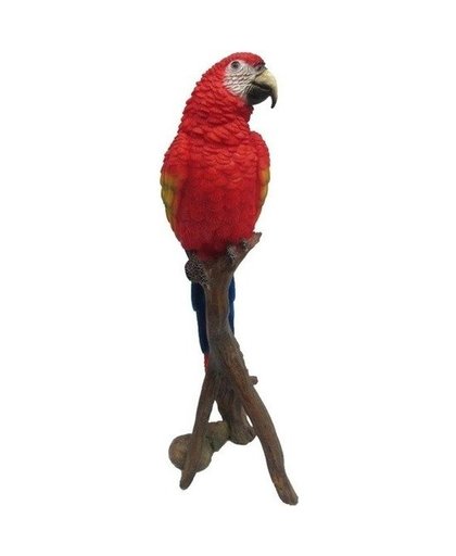 Dierenbeeld rode papegaai op stam 30 cm Rood