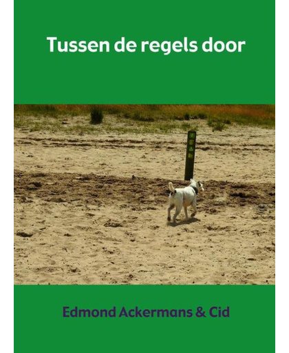 Tussen de regels door - Edmond Ackermans & Cid