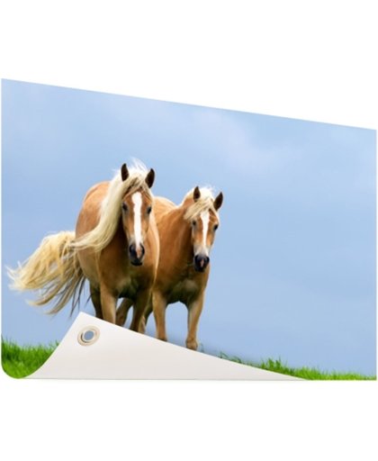 FotoCadeau.nl - Twee galopperende paarden Tuinposter 200x100 cm - Foto op Tuinposter (tuin decoratie)