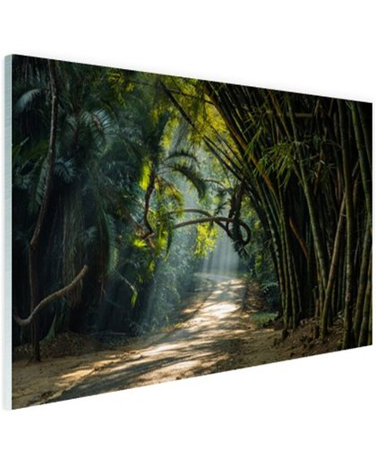 FotoCadeau.nl - Rijen bamboe in Azie Glas 90x60 cm - Foto print op Glas (Plexiglas wanddecoratie)