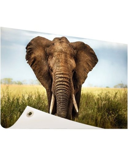 FotoCadeau.nl - Afrikaanse olifant vooraanzicht Tuinposter 200x100 cm - Foto op Tuinposter (tuin decoratie)
