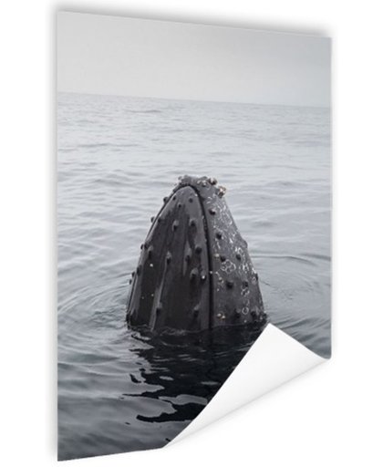 FotoCadeau.nl - Snuit van een bultrug uit het water Poster 120x180 cm - Foto print op Poster (wanddecoratie)