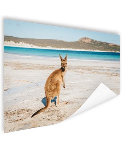 FotoCadeau.nl - Omkijkende kangoeroe Poster 90x60 cm - Foto print op Poster (wanddecoratie)