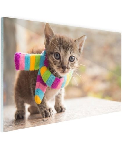 FotoCadeau.nl - Katje met kleurrijke sjaal Glas 120x80 cm - Foto print op Glas (Plexiglas wanddecoratie)
