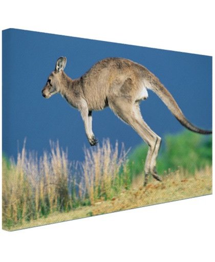 FotoCadeau.nl - Springende kangoeroe Canvas 30x20 cm - Foto print op Canvas schilderij (Wanddecoratie)