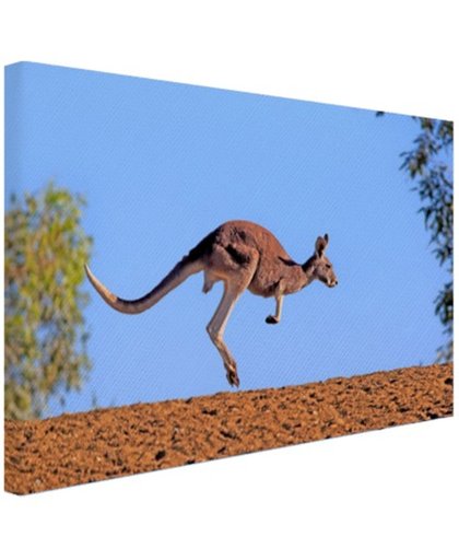 Rode kangoeroe Canvas 180x120 cm - Foto print op Canvas schilderij (Wanddecoratie)