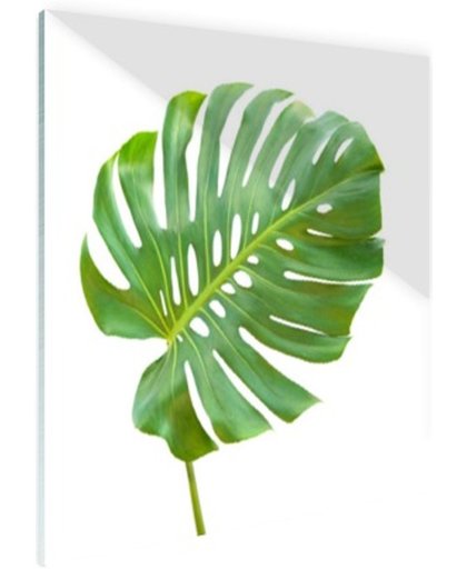 Blad van een gatenplant botanisch Glas 120x80 cm - Foto print op Glas (Plexiglas wanddecoratie)