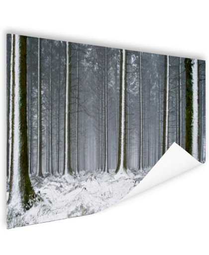 FotoCadeau.nl - Besneeuwde bomen in de winter Poster 60x40 cm - Foto print op Poster (wanddecoratie)
