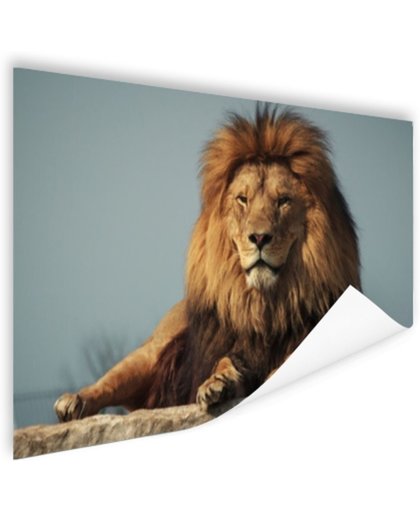 FotoCadeau.nl - Rustende leeuw op een rotsblok Poster 150x75 cm - Foto print op Poster (wanddecoratie)