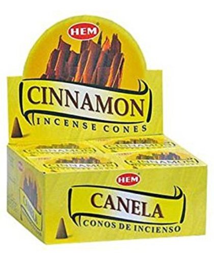 HEM Wierook Kegel Cinnamon (12 pakjes)