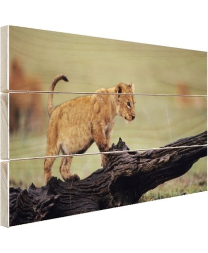 FotoCadeau.nl - Jong leeuwtje in Kenia Hout 30x20 cm - Foto print op Hout (Wanddecoratie)