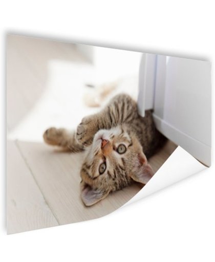 FotoCadeau.nl - Spelende kitten Poster 150x75 cm - Foto print op Poster (wanddecoratie)