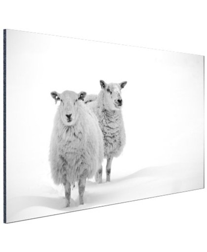 FotoCadeau.nl - Schapen in de sneeuw Aluminium 90x60 cm - Foto print op Aluminium (metaal wanddecoratie)