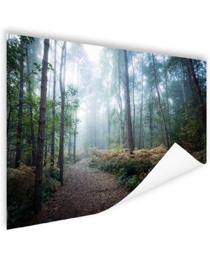FotoCadeau.nl - Een mistig pad door het bos Poster 90x60 cm - Foto print op Poster (wanddecoratie)