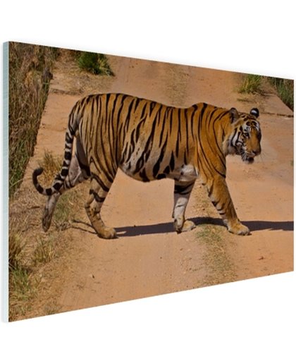 FotoCadeau.nl - Bengaalse tijger steekt over Glas 30x20 cm - Foto print op Glas (Plexiglas wanddecoratie)