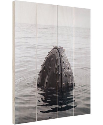 Snuit van een bultrug uit het water Hout 120x160 cm - Foto print op Hout (Wanddecoratie)