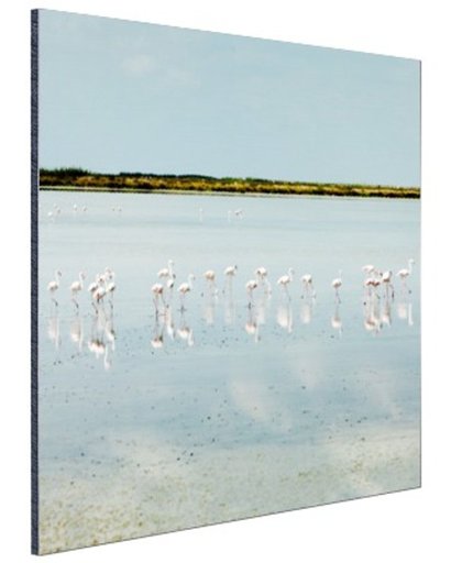 FotoCadeau.nl - Moderne foto met flamingos Aluminium 50x50 cm - Foto print op Aluminium (metaal wanddecoratie)