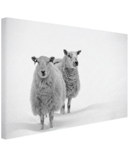 FotoCadeau.nl - Schapen in de sneeuw Canvas 60x40 cm - Foto print op Canvas schilderij (Wanddecoratie)