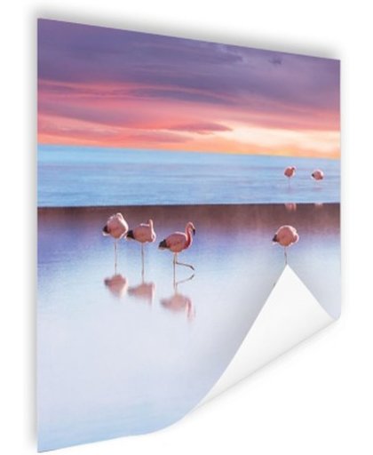 FotoCadeau.nl - Flamingos bij zonsondergang Poster 180x120 cm - Foto print op Poster (wanddecoratie)